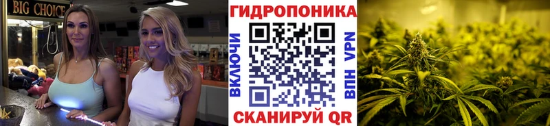Купить закладку Канабис  Кокаин  Кодеин  МЕФ  ГАШИШ  Alpha PVP  Гусь-Хрустальный