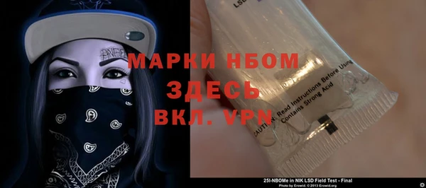 PSILOCYBIN Инсар