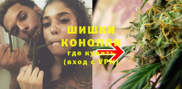 PSILOCYBIN Инсар