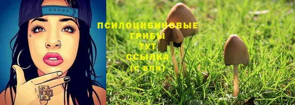 гидропоника Иннополис