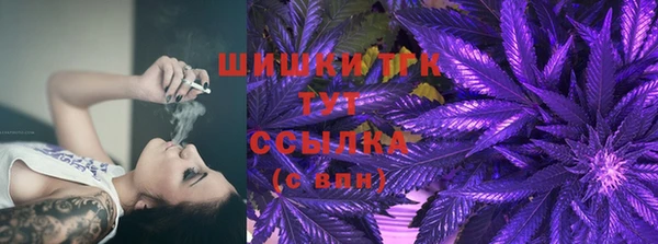 PSILOCYBIN Инсар