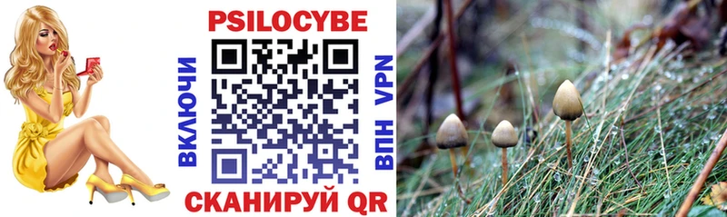 Галлюциногенные грибы Cubensis  Купить  Гусь-Хрустальный 